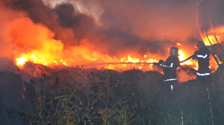 Масштабные лесные пожары 