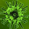 Вирус Коксаки: симптомы, лечение и профилактика 