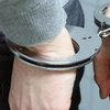 В Житомире за госизмену арестовали блогера