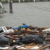 Ураган "Харви": как Хьюстон уходил под воду за 3 минуты (видео)