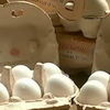 В Европе изымают из продажи отравленные куриные яйца (видео)