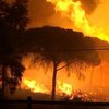 "Адская" жара в Испании: лесные пожары приблизились к жилым домам