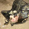 В Одессе многодетная мать выбросила младенца в пакете