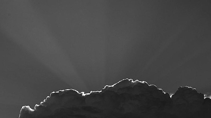 Фото: pixabay