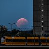 Лунное затмение 7 августа: самые невероятные фото