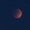 Лунное затмение 7 августа: во сколько и как наблюдать