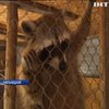 Влада Хмельницького пообіцяла зберегти місцевий зоокуточок