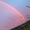Небо Великобритании озарила необычная радуга (фото)