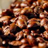 Кофе исчезнет с лица земли - исследование 