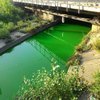 В Киеве речка Лыбедь стала ярко-зеленой: красочные фото 