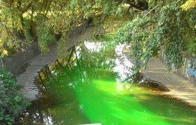 В Киеве речка Лыбидь стала ярко-зеленой