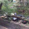 В Москве бушует штормовой ветер: есть пострадавшие (фото)