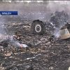 Нідерланди створюють комітет з розслідування авіакатастрофи "МН17"