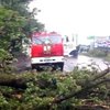 Ураган на Закарпатье повалил 300 гектаров леса