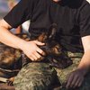 Четвероногие копы: 5 историй о служебных собаках (фото)