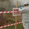 Африканская чума: в Харьковской области зафиксировали новые случаи заболевания