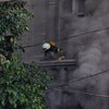 В центре Одессы вспыхнул пожар (видео)