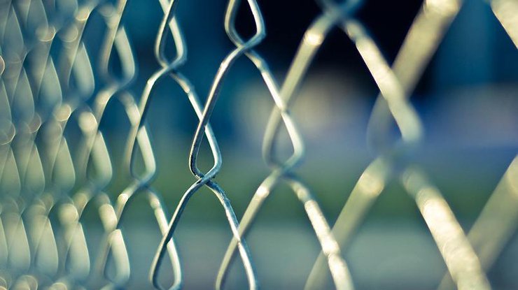 Фото: pixabay