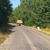 Жуткая авария в Винницкой области: водитель врезался в дерево (фото)