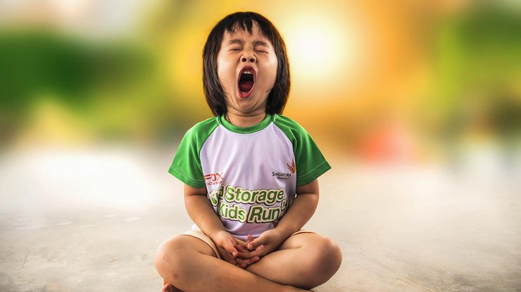 Результаты исследования причин зевания могут помочь людям. Фото pixabay