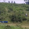 В Індії слон затоптав чоловіка через селфі (відео)