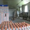Заражені фіпронілом яйця виявили в 45 країнах світу