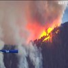 В США масштабні лісові пожежі на заході країни