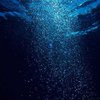 На рекордно большой глубине океана нашли следы животных