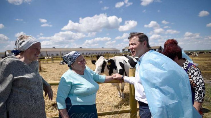 Запрет на продажу молока приведет к массовому вырезания коров