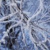 Погода на выходные: в Украине ударят морозы
