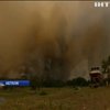 В Австралии лесные пожары приблизились к жилым кварталам