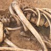 На одесской свалке нашли скелет ребенка