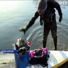 Серфінгісти в Британії прибрали Темзу від сміття 