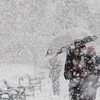 Погода на 20 января: синоптики обещают снег и гололед