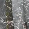 Погода на 3 января: синоптики предупреждают о заморозках 