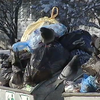 В Черкассах растут горы из мусора (видео)