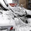 В Киеве дерево рухнуло на припаркованные авто (фото)