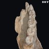 Ізраїльські археологи знайшли найдавніші останки первісної людини (відео)