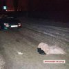 Под Николаевом водитель сбил сидевшего посреди дороги пьяного ребенка