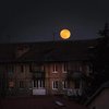 Лунное затмение 31 января: фото "кровавой" Луны в Украине 