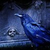 На кладбище откопали ребенка-"вампира"