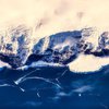 В Антарктиде жуткие звуки напугали ученых (видео)