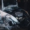 ДТП в Киеве: авто вылетело на обочину и загорелось (фото, видео)