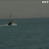 Український моряк повертається додому з піратського полону