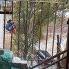 В Харькове школьница повесилась на собственном балконе