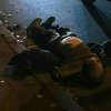 В Киеве мужчина бросился под авто (фото)