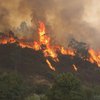 В Португалии вспыхнул масштабный лесной пожар, есть пострадавшие