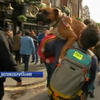 Собак вывели на протест против Брекзита (видео)