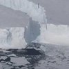 В Антарктиде появился новый крупный айсберг (фото)