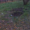 Детская могила в парке Киева: что случилось на самом деле (фото)